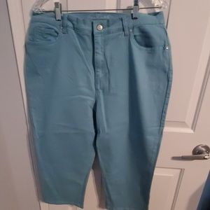 Gloria Vanderbilt Amanda Capris.Mint Green